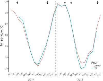 Temporal Variation in the Microbiome of Acropora Coral Species Does Not Reflect Seasonality